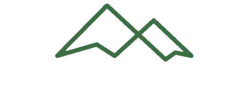 Taiga Electric
